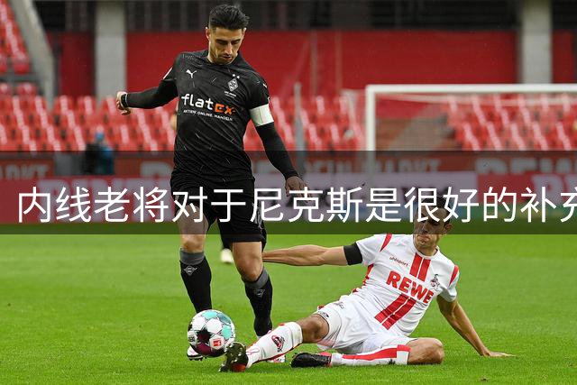 内线老将对于尼克斯是很好的补充，他可以使尼克斯不发生变化？