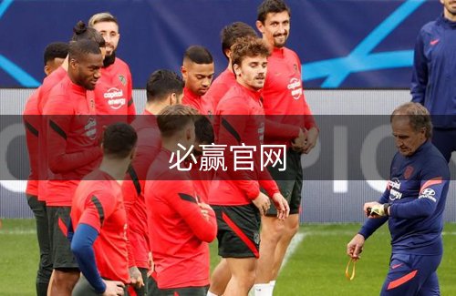 网站概况